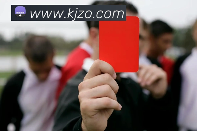 博亚体育app官方最新版平台生态图